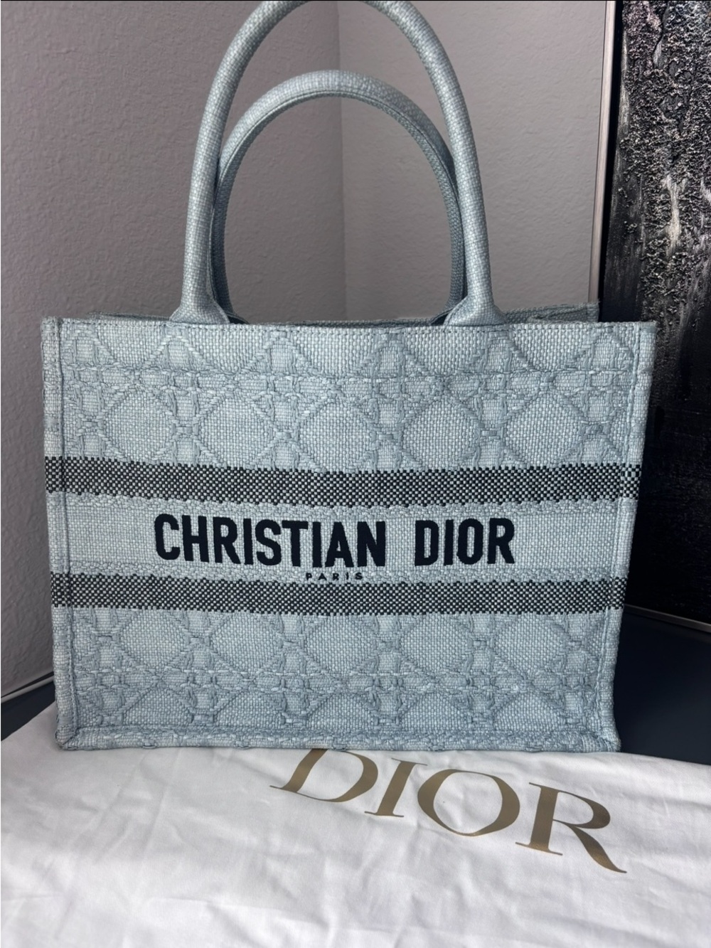 Medium size Dior Light Blue & Black Christian Dior Book Tote